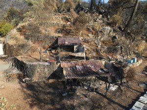 Marmaris’te yangından geriye kalanlar: Yeşilliklerin içindeki Osmaniye’de 30 ev küle döndü