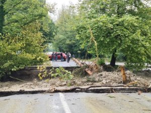 Bartın’dan sel suları sonrası köprü böyle yıkıldı