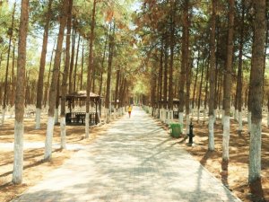 Akçakale kent parkı ve mesire alanı açılışa hazır