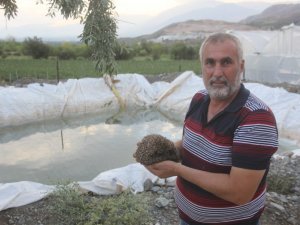 Bahçe sulama havuzuna düşen kirpiyi köylüler kurtardı