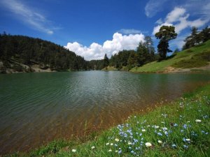 Aksu Göleti tabiat parkı olarak tescillendi