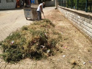 Viranşehir’de okul çevreleri temizleniyor