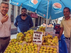 Başkan Güler; "Yeni incir sezonu üreticilerimize bereketli olsun"