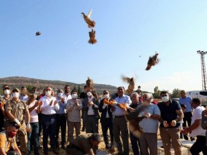 32 köyde 900 adet kınalı keklik doğaya bırakıldı