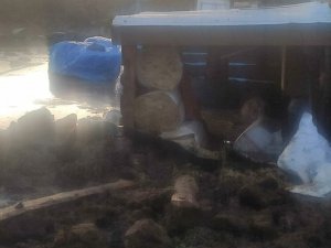 Sağanak yağış dereyi taşırdı