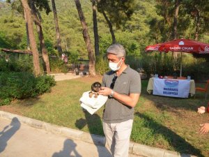 Marmaris Belediyesi Geçici Hayvan Bakımevi yangından etkilenen hayvanlara en güvenli alan oldu