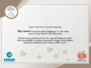 Güney Kore-Türkiye dostluğu, 120 bin fidanla kökleşecek