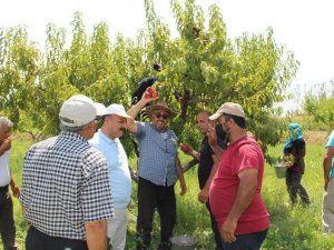 Iğdır İl Tarım Müdürü Yolcu, tarlada çalışan çiftçileri dinledi