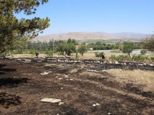 Tefenni ilçesindeki yangın ormana sıçramadan söndürüldü