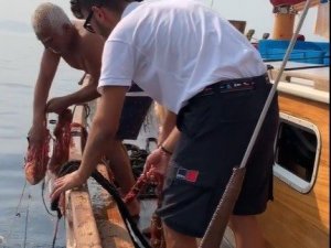 Hayalet ağlara dolanan orfozu kurtardı