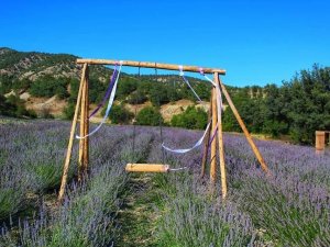 Nallıhan’da lavanta bahçeleri ziyaretçilere görsel şölen sunuyor