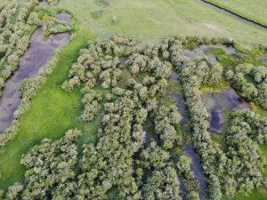 Kura Nehri’nin oluşturduğu menderesler kartpostallık görüntüler oluşturuyor