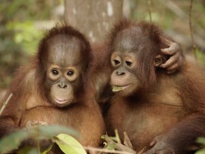 Farklı türlerdeki belgeseller Ağustos ayında izleyicilerle buluşuyor