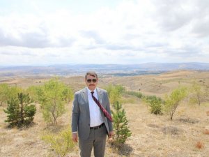 5 milyon fidan toprakla buluşacak