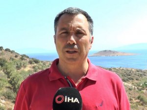 Yangın sonrası Bodrum’da hayat normale dönmeye başladı