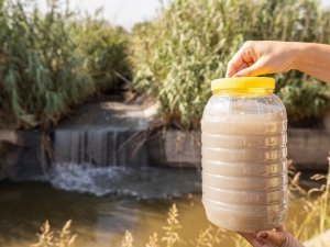 Başkan Soyer’den “Temiz Gediz, Temiz Körfez” için kurumlara yazılı çağrı