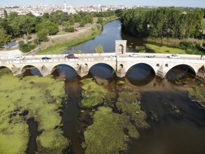 Tunca Nehri çöp ve yosunlarla kaplandı