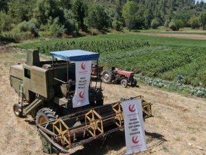 Yeniden Refah Partisi, çiftçinin durumunu anlamak için tarlada tarım yapıyor
