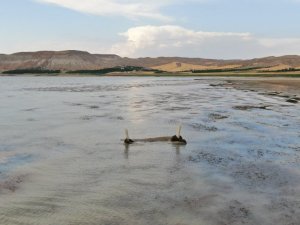 Baraj suları 150 metre çekildi, 700 yıllık mezarlık gün yüzüne çıktı