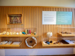 "İpek Evi" hizmete girdi