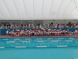 Minik yüzücüler sertifikalarını Hürriyet’in elinden aldı