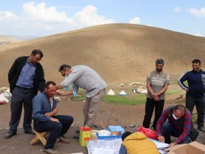 Sağlık ekipleri yaylada vatandaşlara Covid-19 aşısı uyguluyor