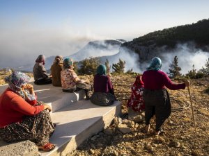 Silifke ve Aydıncık’ta yaklaşık 14 bin hektar alan yandı