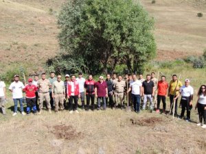 Yangınlar anısına hatıra ormanı oluşturuldu