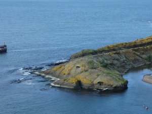 Doğal ‘Timsah Adası’ şaşırtıyor