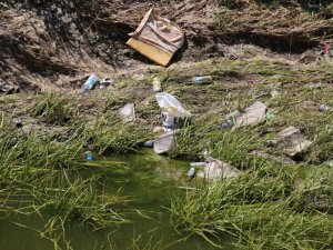 Eskişehirli vatandaşlar bu pislikten bıktı