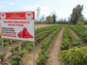 Düzce’de 1 milyon 494 bin dekar tarım arazisi bulunuyor