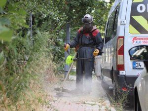 Kartal’da yabani otlar biçilerek temizlik çalışmaları yapılıyor