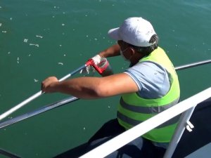 Mersin’de denizi kirleten gemiye 1 milyon 490 bin TL ceza kesildi