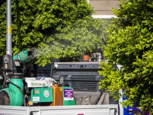 Son günlerde Mersin’i saran beyaz sineğe karşı kapsamlı mücadele başladı