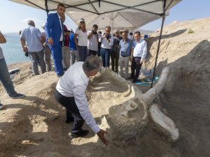 7.5 milyon yıllık fosillerin sergileneceği müzenin temeli atılacak