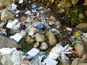 Batman’da doğa harikası mesire alanı, piknikçilerin çöpleriyle doldu