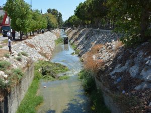 Tarsus’ta dere yatakları temizleniyor