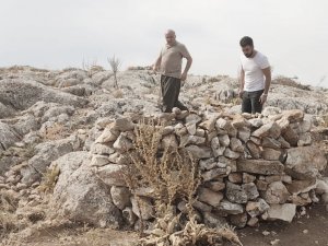 Yaban keçilerini yasadışı olarak avlamak için kurulan evsinler imha edildi