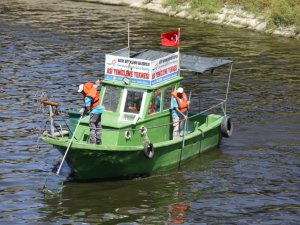 Asi Nehri’ndeki katı atık ve su sümbülleri temizleniyor