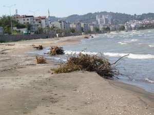 Ordu’da deniz selden aldıklarını geri verdi