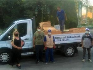 Bozuk para kasaları sokak hayvanlarına yuva oluyor