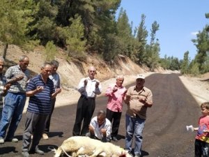 Gelen asfalt için kurban kestiler