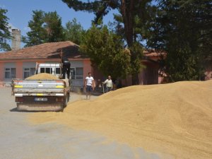 TMO,  Korkuteli’de  arpa satışına başladı