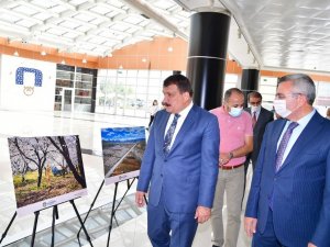 "Çekirdekten meyveye kayısı" fotoğraf sergisi açıldı