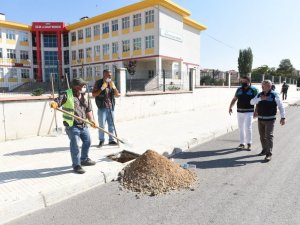 Çorum Belediyesi, 13 bin ağacı toprakla buluşturdu