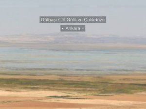 Ankara ve Bolu’da doğal güzellikler koruma altına alındı