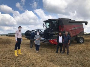 Karabük’te hububat hasadı devam ediyor