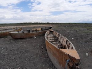 Bahar ve yaz yağmurları da Eber Gölü’nü kurtarmaya yetmedi