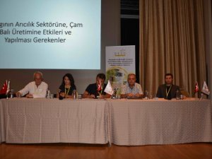 Türkiye Arı Yetiştiricileri Merkez Birliği Başkanı Ziya Şahin: “Acil eylem planı hazırlanmalı”