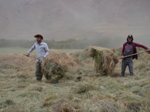 Yaylalarda son demler, zorlu mesaiye kuraklık engeli